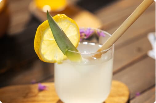 Elderflower Sparkler